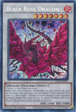 Black Rose Dragon